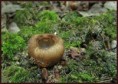 /album/vreckate/img-0025-hubka-s-jpg1/